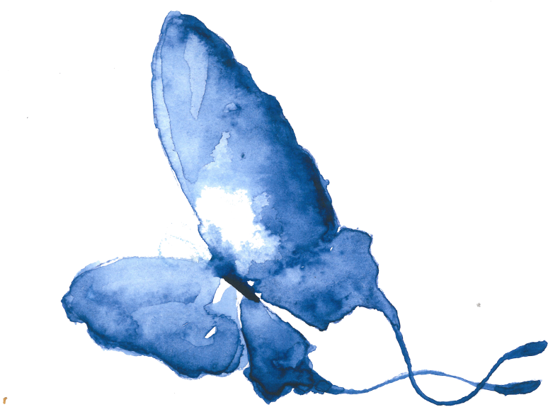 Butterfly-blue - Butterfly Women Png (800x614), Png Download
