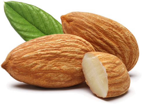 download andalucia nuts almonds leaf trasp almond badam 1 kg png image with no background pngkey com download andalucia nuts almonds leaf