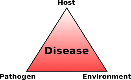 Illustration Of The Disease Triangle - Abramson Center For Jewish Life (450x275), Png Download