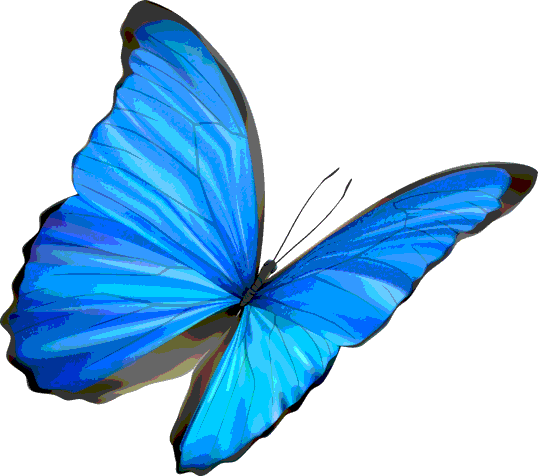 Life Is Strange Butterfly Png (538x476), Png Download