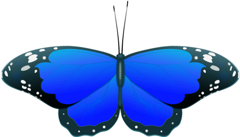 Blue Butterfly - Butterfly Clipart Black And White Png (500x294), Png Download