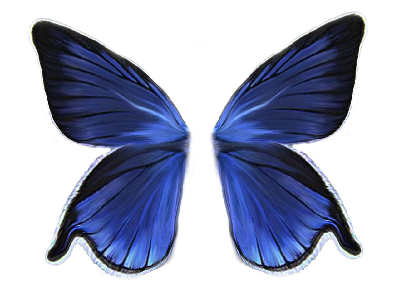 001wings - Butterfly Wings (1500x1500), Png Download