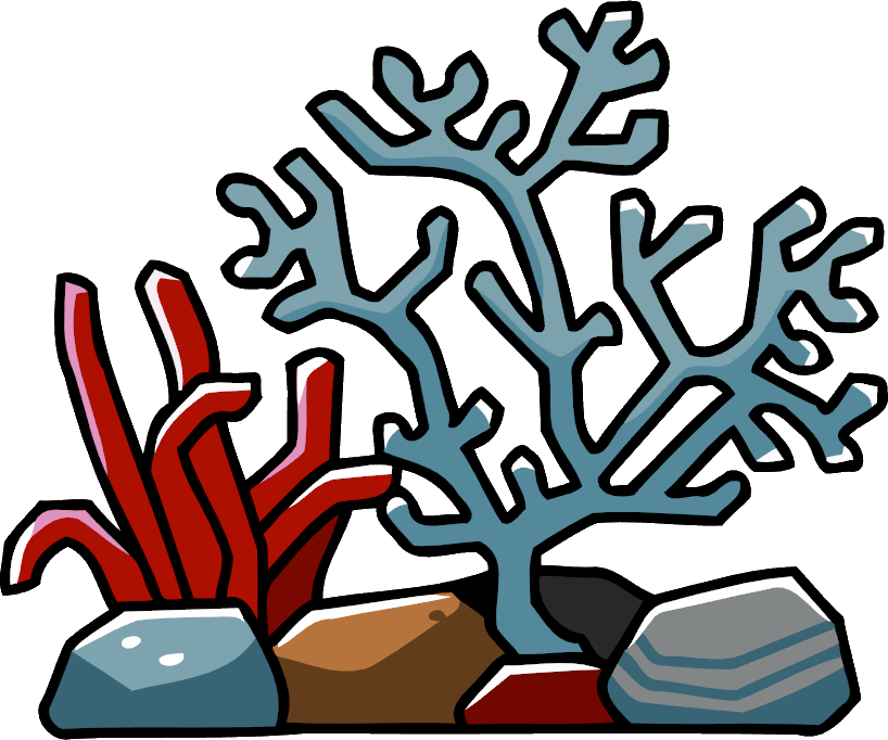 Collection Of Reef - Coral Reefs Clipart Png (818x682), Png Download