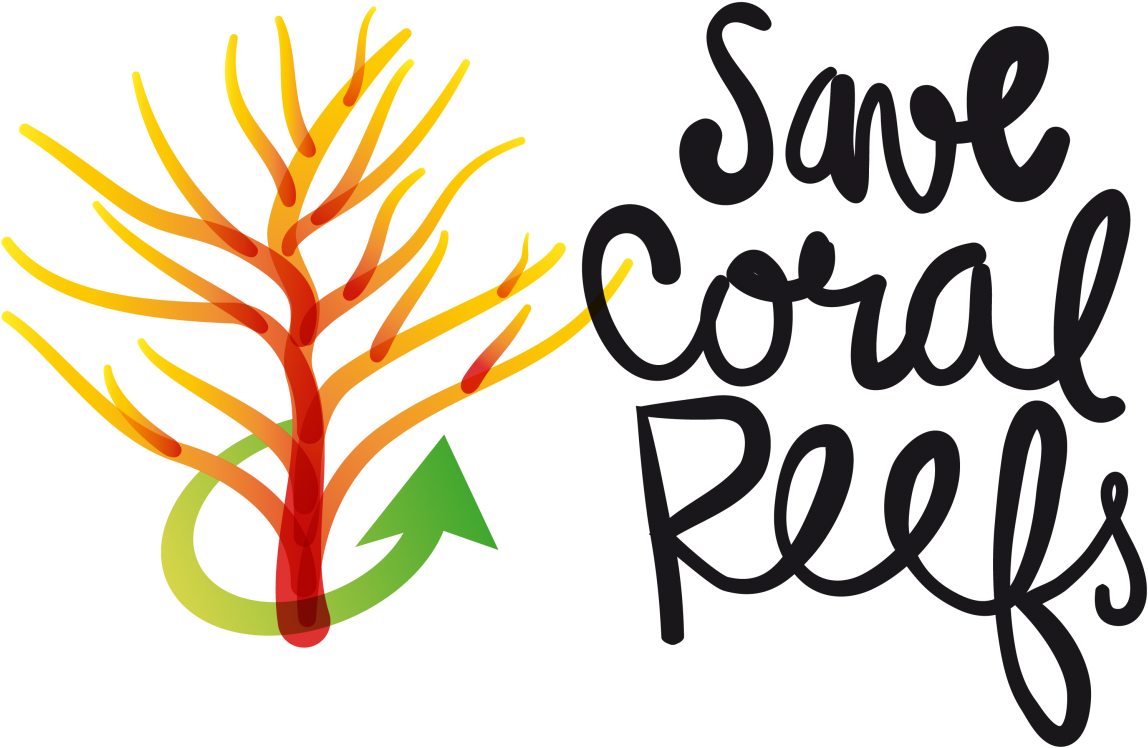 Posts Tagged With 'artificial Coral Reef' (1280x960), Png Download