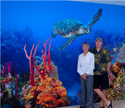 A Closer Look At This Section With Cathy And Charles - Hawksbill Sea Turtle (700x438), Png Download