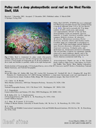 1007 S00338 006 0097 - Marine Biology (450x594), Png Download