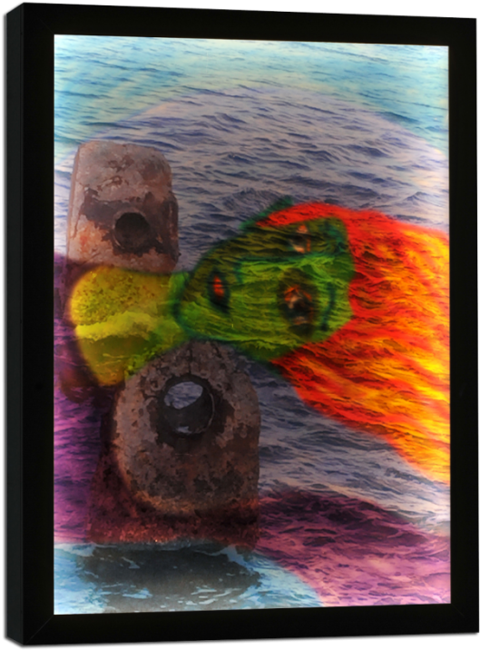 Swimming With The Tide - Picture Frame (561x750), Png Download