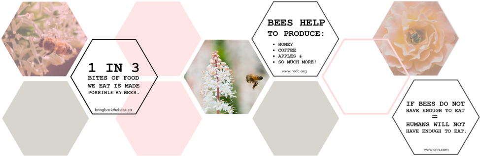 Why We Need Bees - Portable Network Graphics (1000x333), Png Download