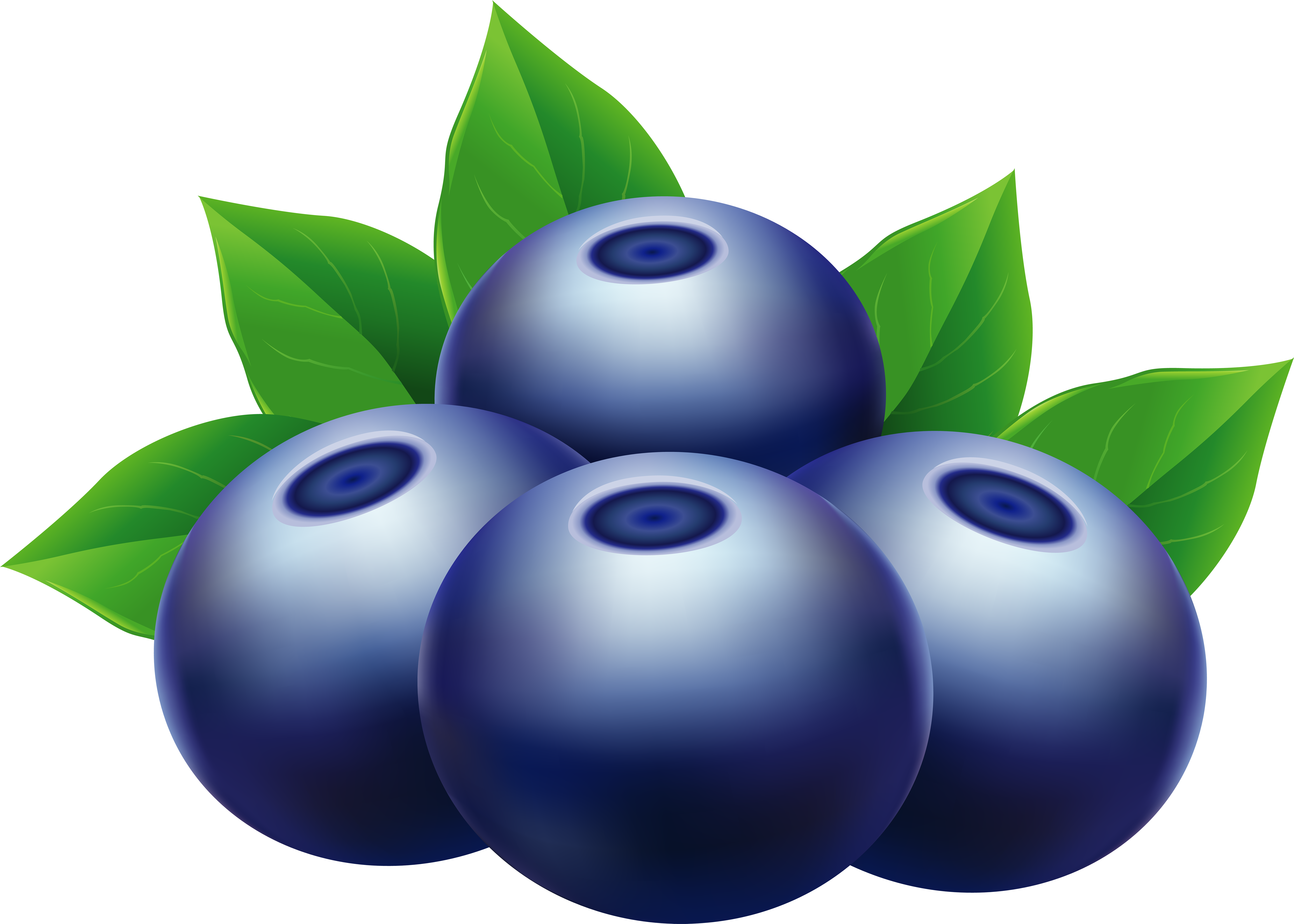 Clipart Blueberries (8000x5754), Png Download