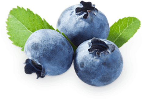 Free Png Blueberries Png Images Transparent - Bilberry Extract Powder 1 Lb (480x480), Png Download