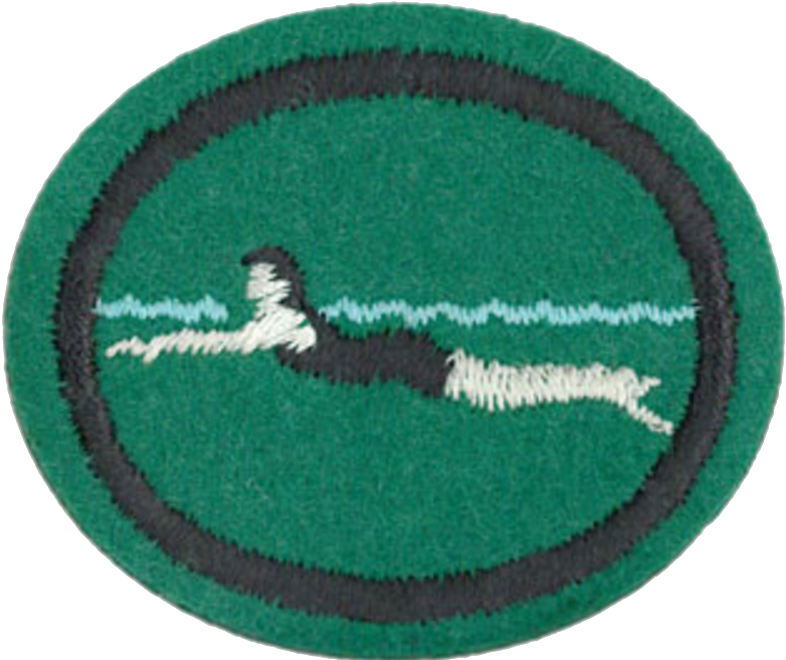 Swimming Beginners Honor - Pathfinder Beginner Swimming Honor (786x660), Png Download