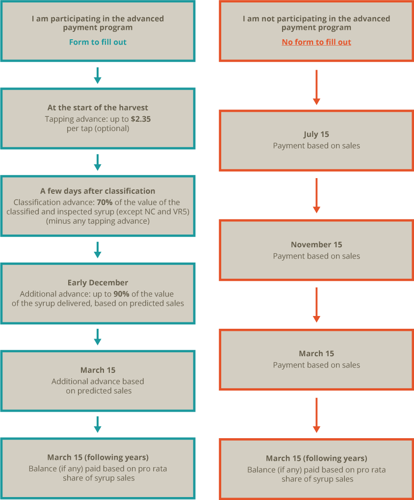 Industrial Maple Syrup - Québec (844x1019), Png Download