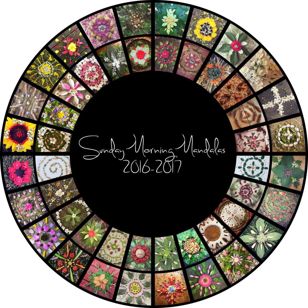 Smm 2016-2017 Transparent Background - Circle (1000x1000), Png Download