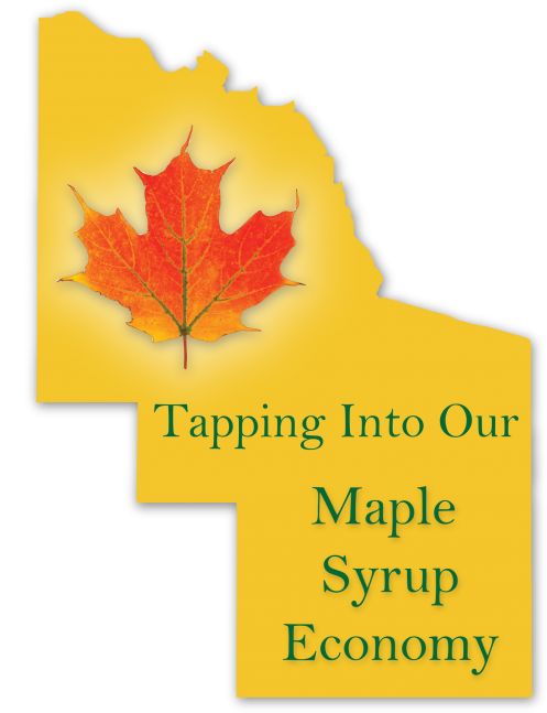 Developing Commercial Maple Syrup Production In And - Autumn (508x650), Png Download