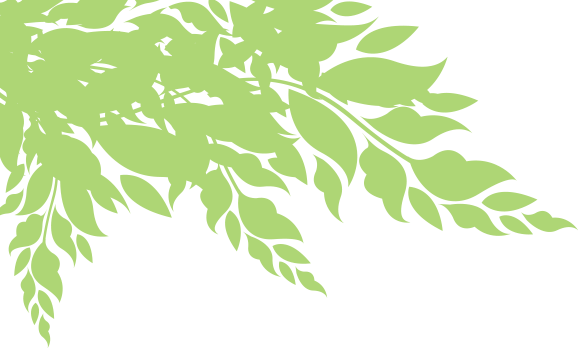 American River Conservancy (578x348), Png Download