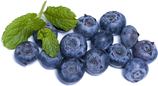 Superfood Bible: What You Need To Know (550x450), Png Download