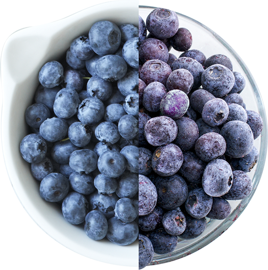 Fresh Or Frozen Blueberries - Blueberry (525x529), Png Download
