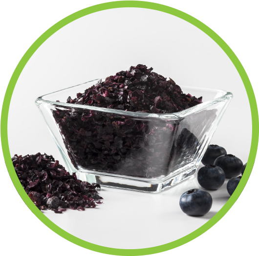 Blueberry Fragments Md Circle - Individual Quick Freezing (562x562), Png Download