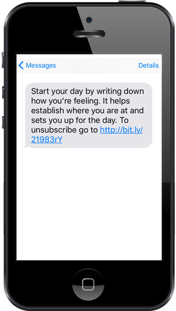 Sms Message Example - Toast Ios (359x636), Png Download
