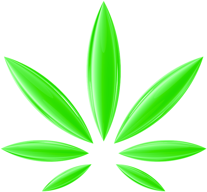 Cannabis, Hemp, Ganja, Herb, Bud, Marijuana, Weed, - Ganja Transparent (720x720), Png Download