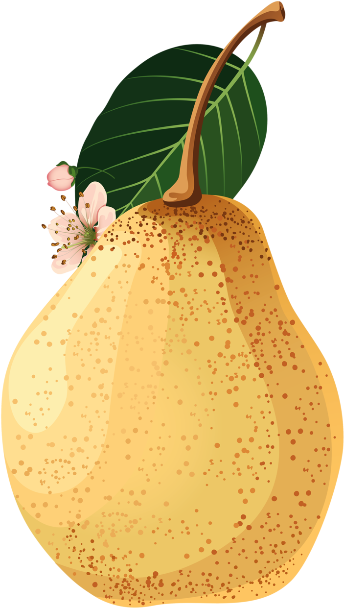 Яндекс - Фотки - Food (765x1280), Png Download