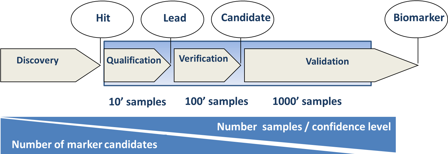 Biomarkers Stages - Merton Chamber Of Commerce (1465x506), Png Download