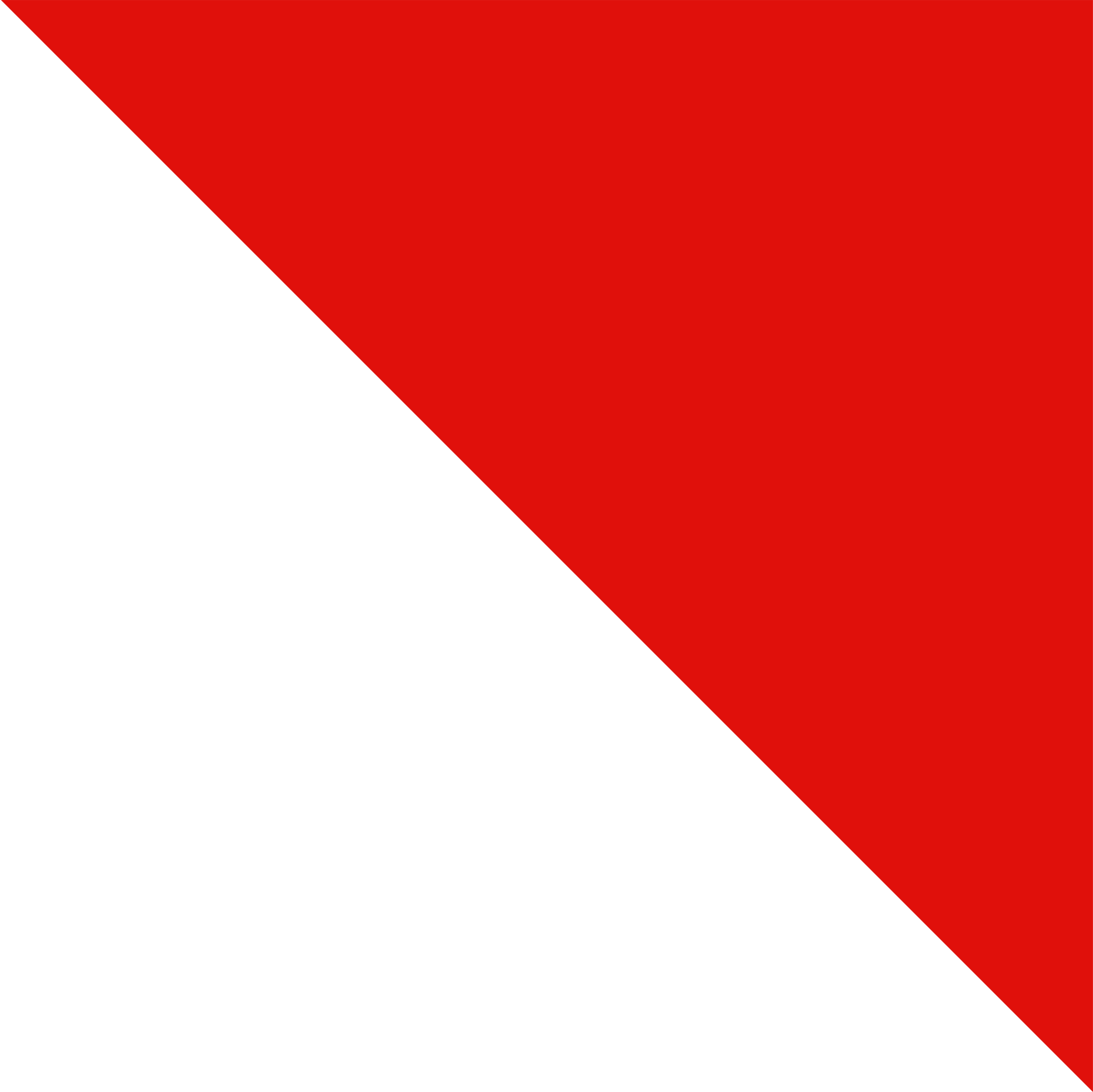 Please Enter Your Question Here And We Will Get Back - Municipio De Ricaute Bandera (2500x2498), Png Download