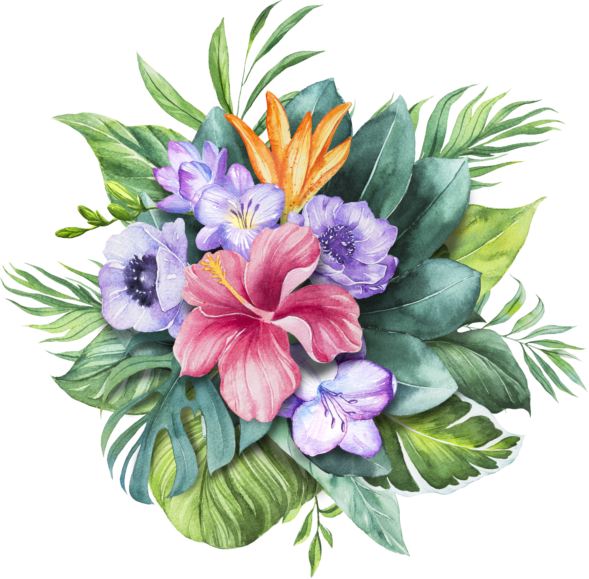 Poster Boards, Flourish, Pretty Pictures, Watercolor - Flower (2000x1964), Png Download