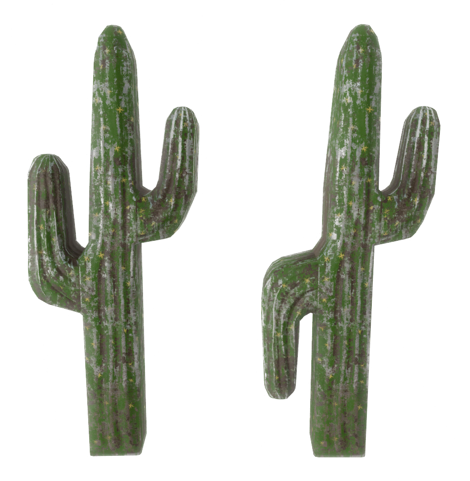 Cactus Prop - San Pedro Cactus (969x974), Png Download