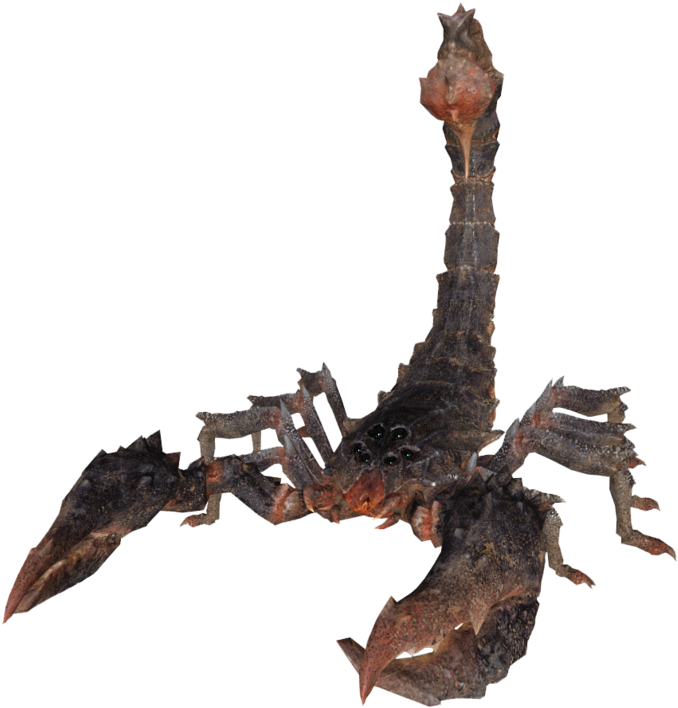 Radscorpion Fallout The Vault Fallout Wiki Fallout - Radscorpion Png (1200x756), Png Download