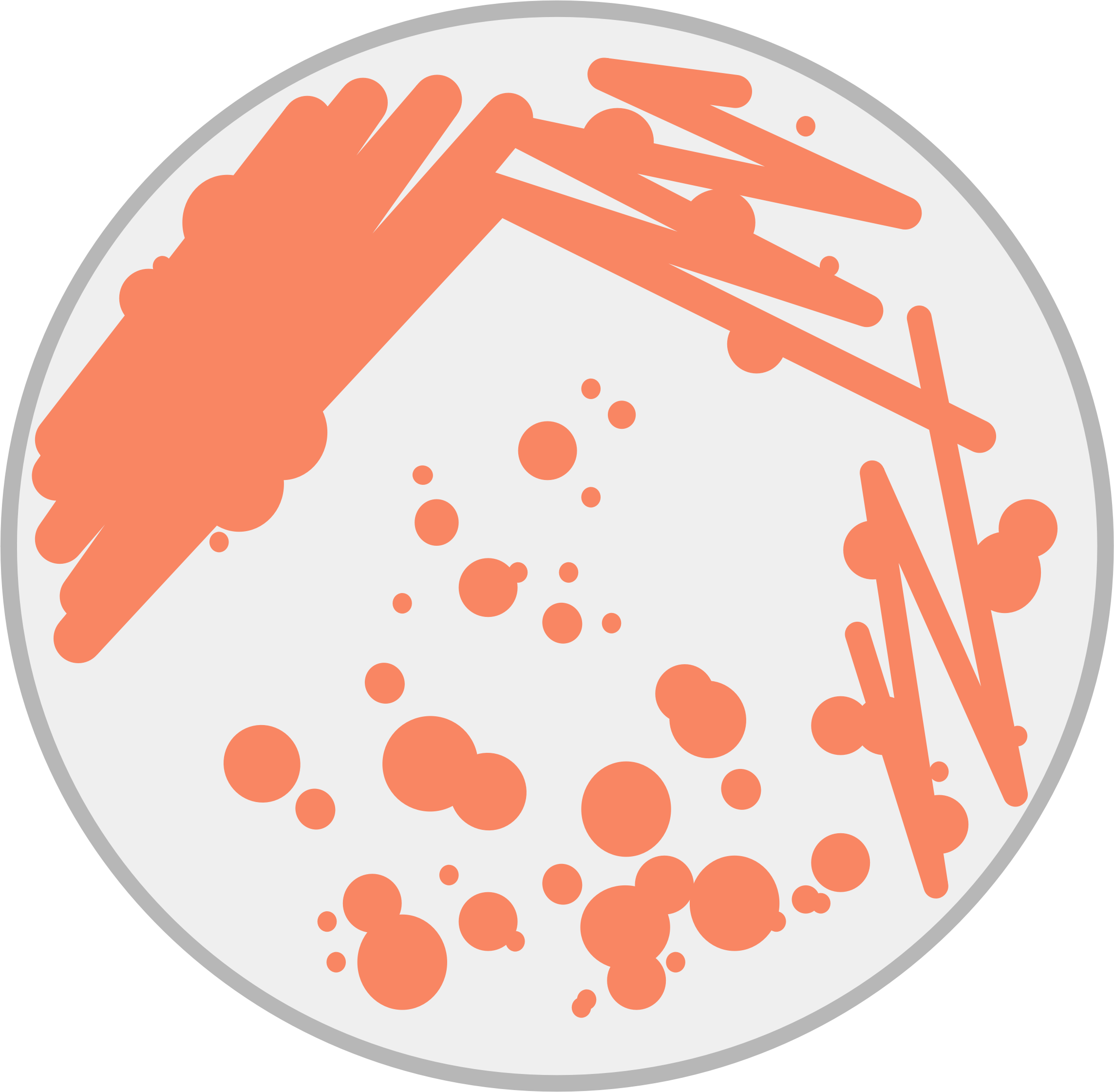 Clipart Stock Petri Dish Big Image Png - Bacteria Petri Dish Clip Art (2287x2241), Png Download