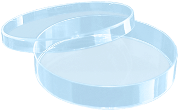 Petri Dish 92x16mm With Cams - Caja De Petri Dibujo (446x275), Png Download