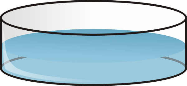 The Editing Of Petri Dishes - Caja De Petri Dibujo (600x275), Png Download