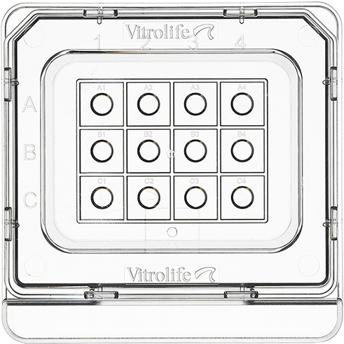 Dishes For Every Procedure - Culture (960x600), Png Download