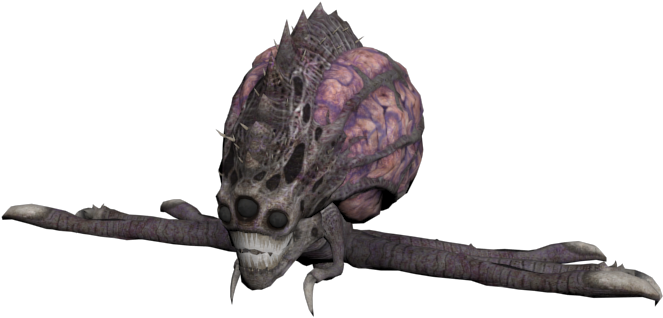 Download Zip Archive - Insect (750x650), Png Download