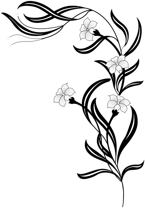 Related Wallpapers - Flower Vine Clip Art Black And White (529x720), Png Download
