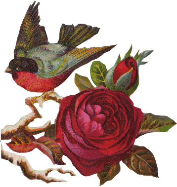 Flores Vintage Png - Birds Rose Png (358x379), Png Download