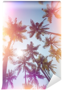 Palms Trees On A Beach Vintage Stylized With Film Light - Film (400x400), Png Download