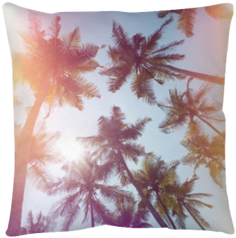 Palms Trees On A Beach Vintage Stylized With Film Light - Film (400x400), Png Download