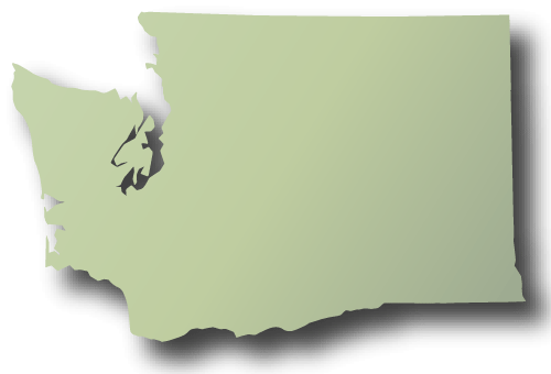 Washington - Rhinoceros (500x340), Png Download