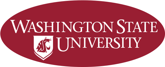 Secondary Marks Also May Be Created To Promote A Specific - Washington State University Pullman Logo (600x250), Png Download