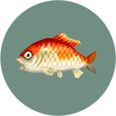 Rare Fish - Animal Crossing Pocket Camp Rare Fish (376x374), Png Download
