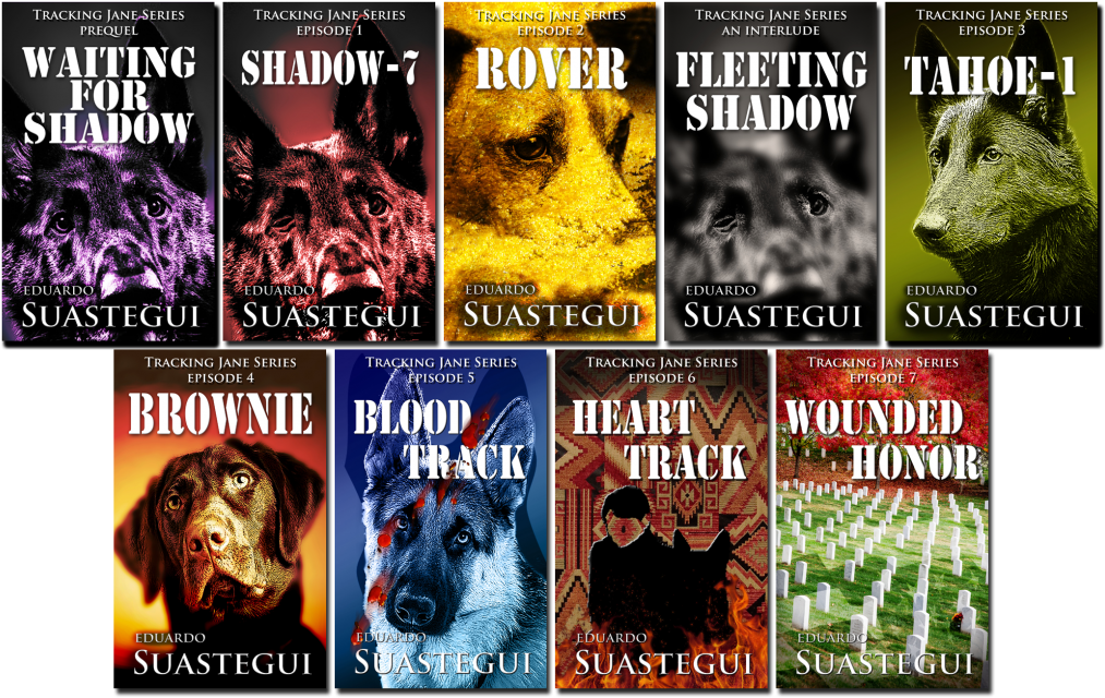 Waiting For Shadow Als Ebook Von Eduardo Suastegui (1024x649), Png Download