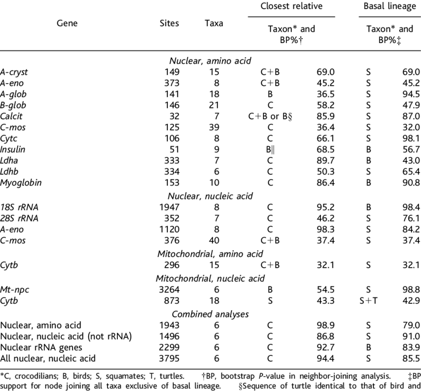 Molecular Evidence For The Closest Living Relative - Enzyme Assay (850x790), Png Download
