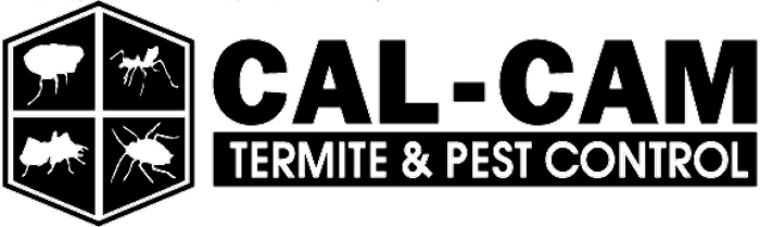 We're Hiring (700x209), Png Download