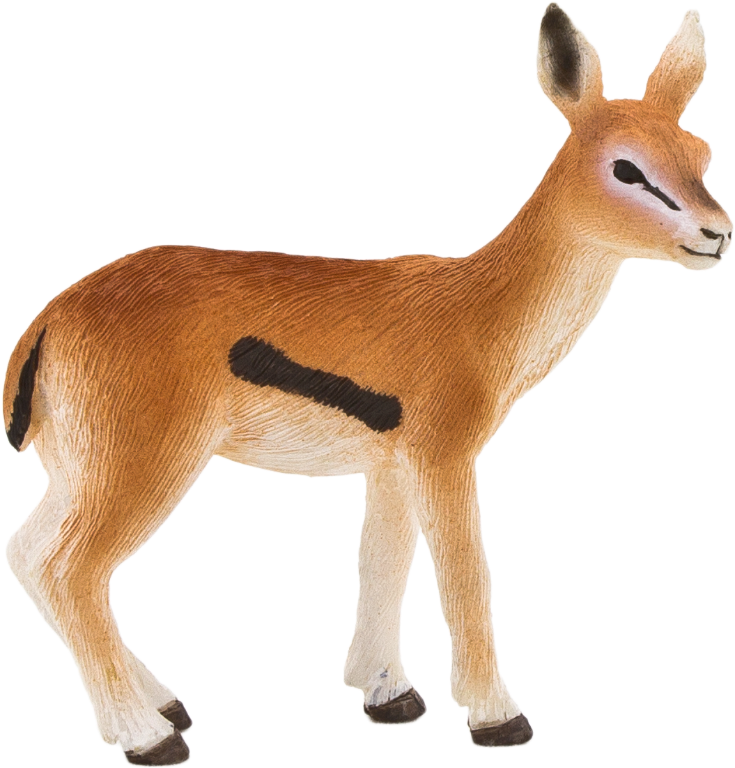 Gazelle Transparent Background - Animal With Transparent Background (1133x1159), Png Download
