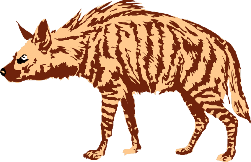 Free Png Hyena Art Png Images Transparent - Portable Network Graphics (850x551), Png Download