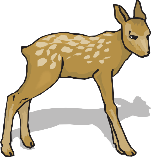 Go To Image - Fawn Clipart (576x597), Png Download