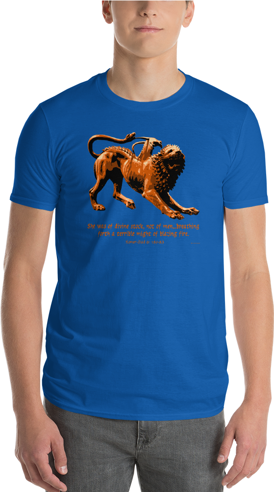 The Chimera - Senator We Run Ads T Shirt (1000x1000), Png Download