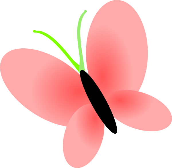 Stars Transparent Background - Flowers Clip Art Transparent Background (600x587), Png Download